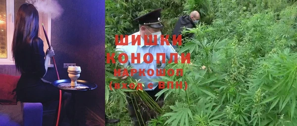 спайс Алексин