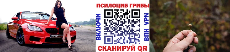 купить наркоту darknet клад Псилоцибиновые грибы мицелий Ленинск